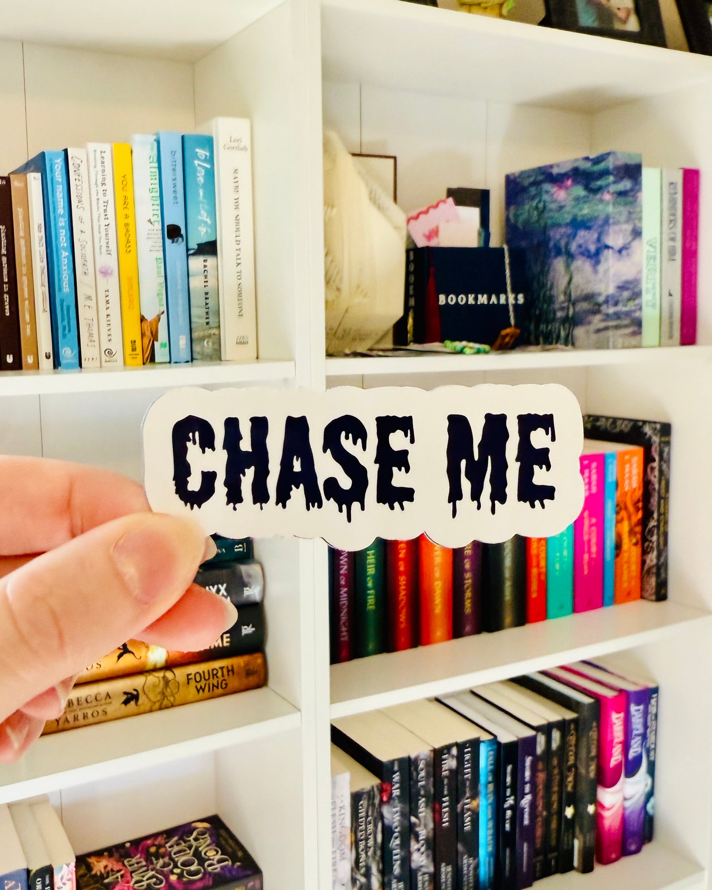 Chase Me Sticker